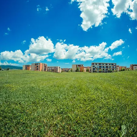 Orchid Garden * 써니비치